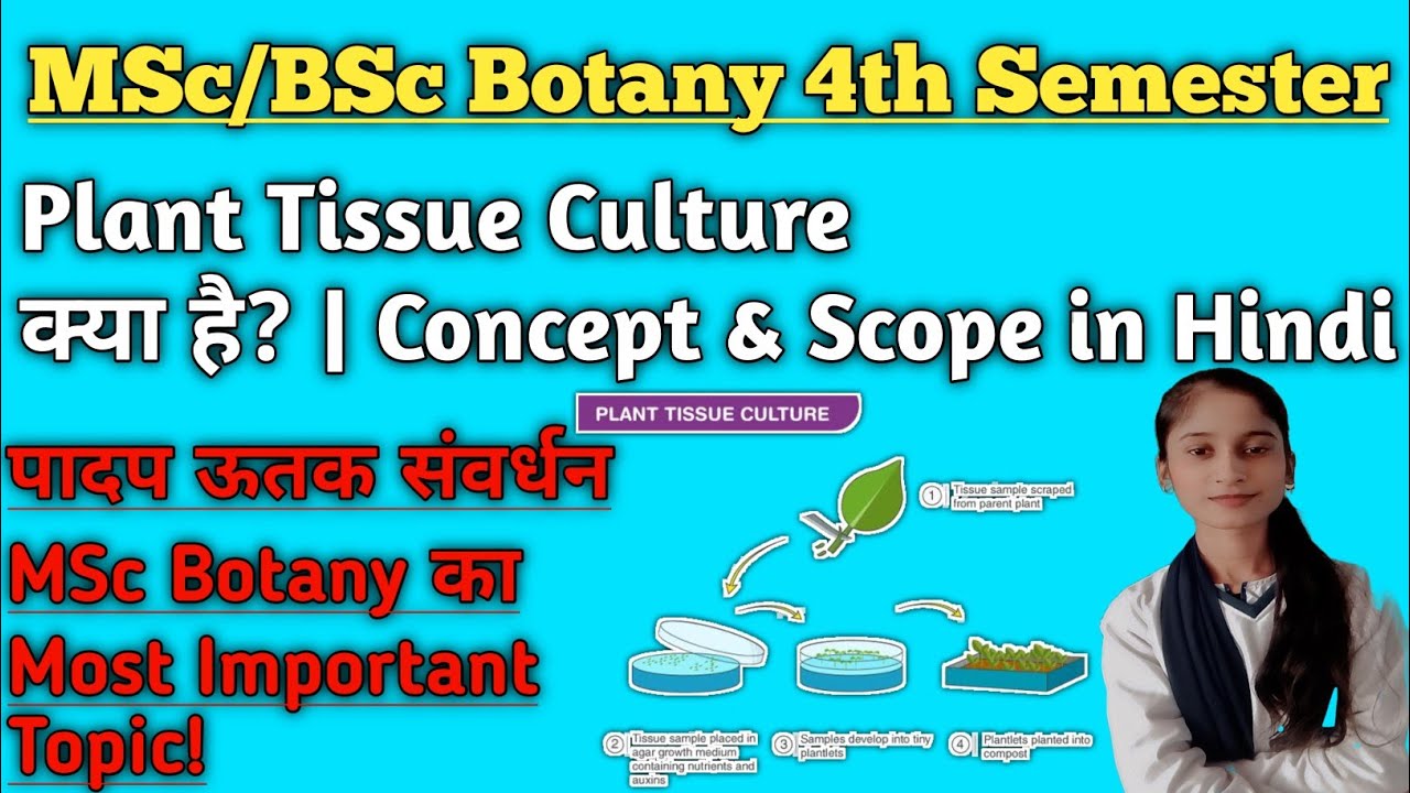 पादप ऊतक संवर्धन से आप क्या समझते हैं | What Is Plant Tissue Culture ? Discuss its concept and scope