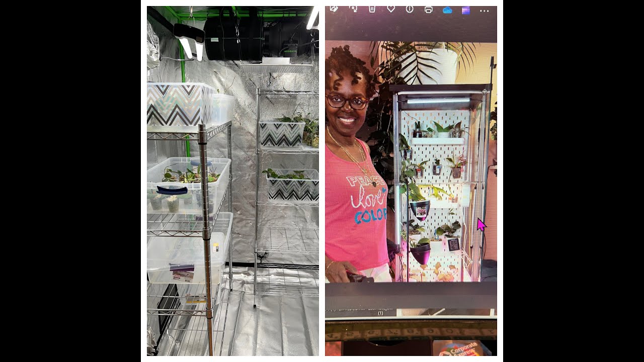 Grow tent set up versus Ikea greenhouse cabinet