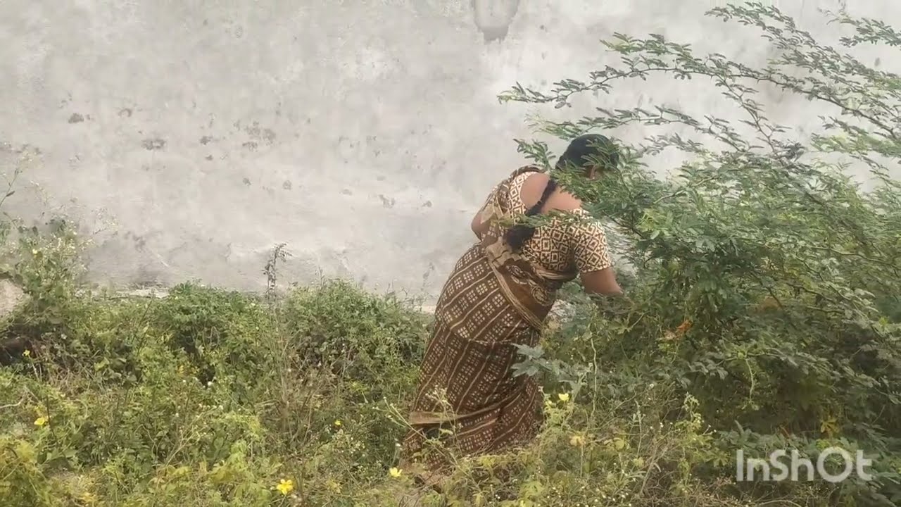ఈరోజు మా ఇంటి పక్క అమ్మ నేను ఎండలో కంచ కాకరకాయలు ఏ విధంగా తెంపినము చూడండి