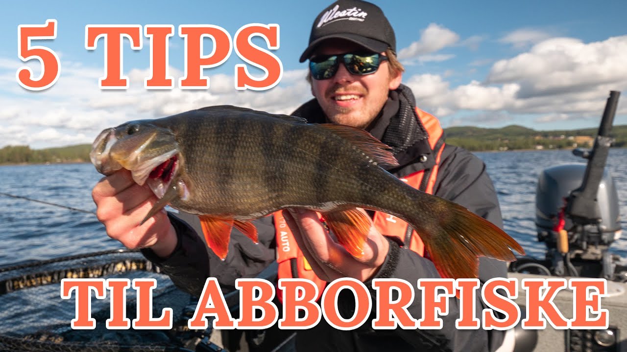 Peders 5 abbortips -  Utstyr til abborfiske   Stenger liner snelle baits