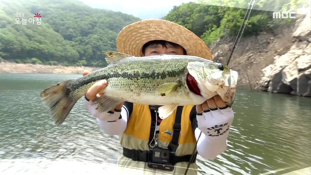 [생방송 오늘 아침] 속리산 배스 퇴치 작전!, MBC 210614 방송