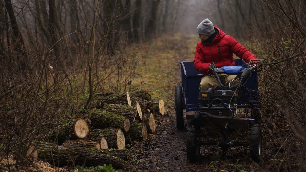 One Beautiful Day with My Grandparents | Preparing Firewood for Winter | Campfire Sausages | ASMR