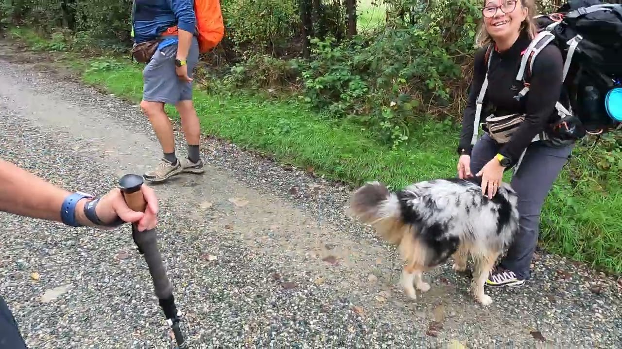 Via Francigena Italy   Viverone to Santhia   4K