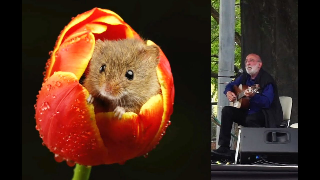Gryllus Vilmos és az ÉV EMLŐSE