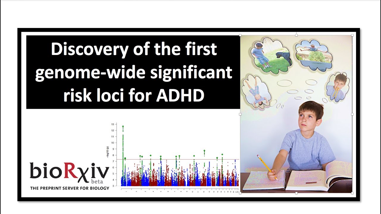 Discovery Of The First Genetic Risk Factors For ADHD