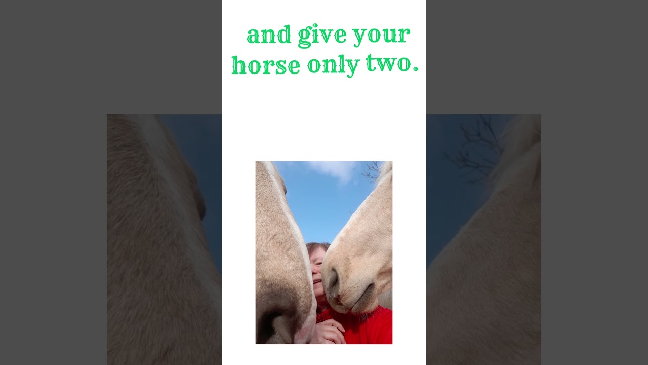 If you think horses can't count #equestrian #horse #ryttare