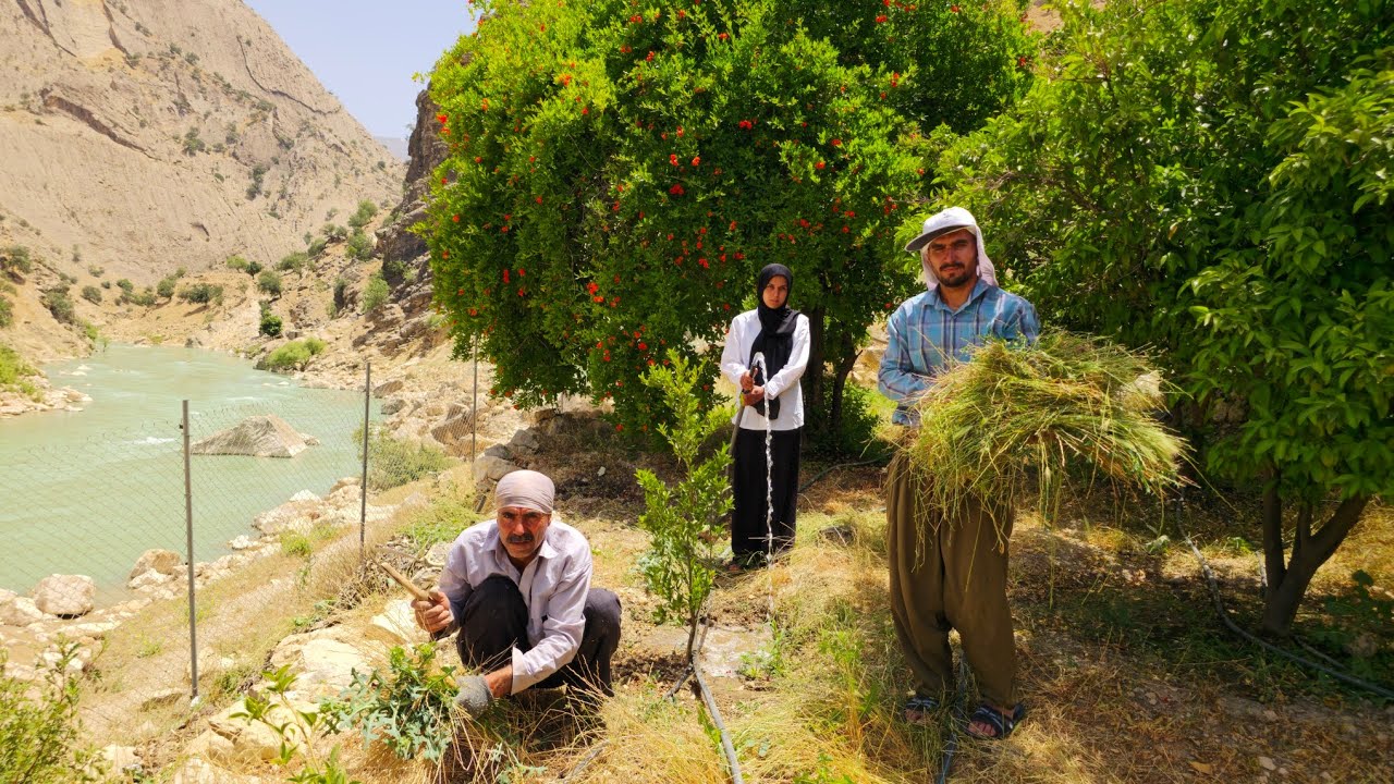 🌄🌿 Nomadic life: Visiting the Kuhgol family garden and watering garden crops by the Khersan River🌊🏕️