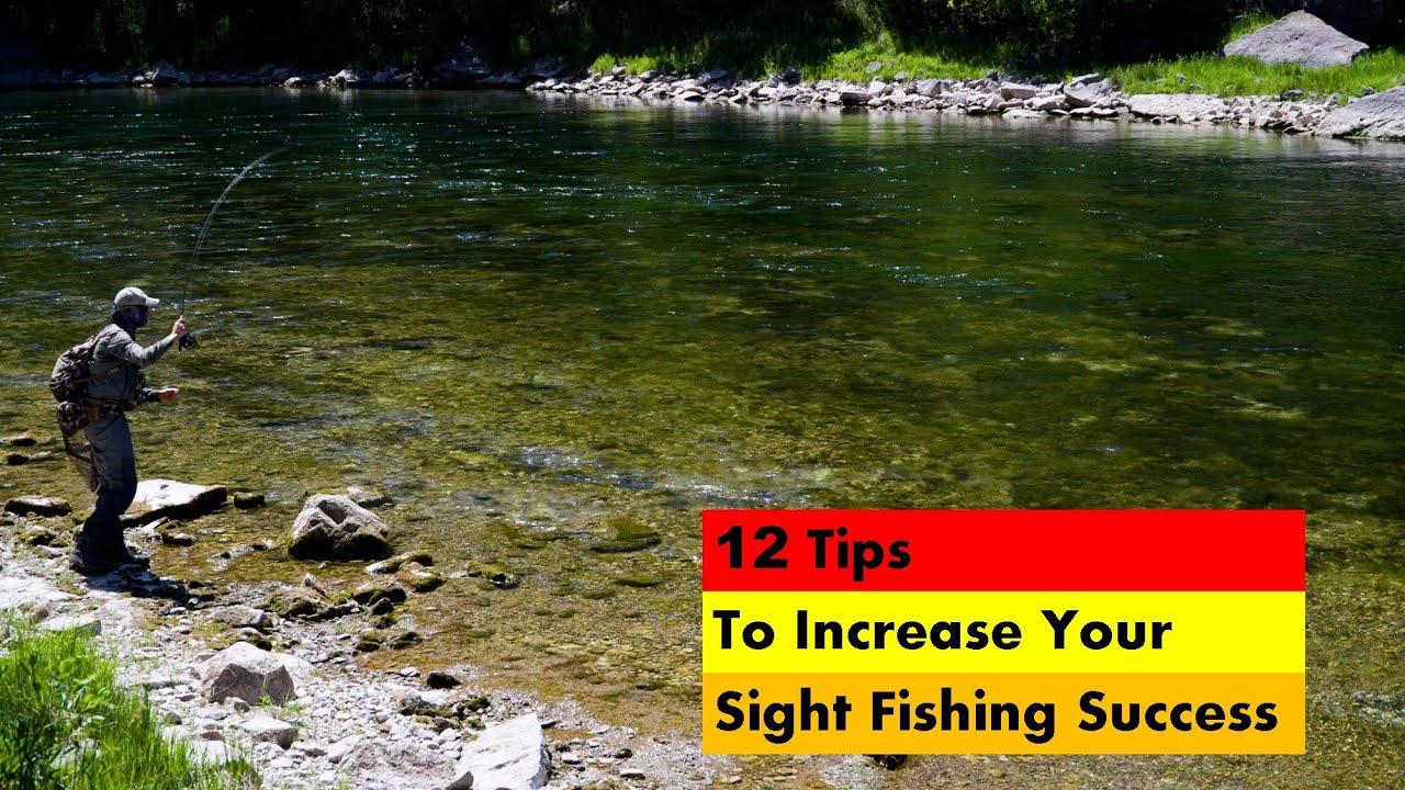 12 Tips to Increase Your Sight Fishing Success