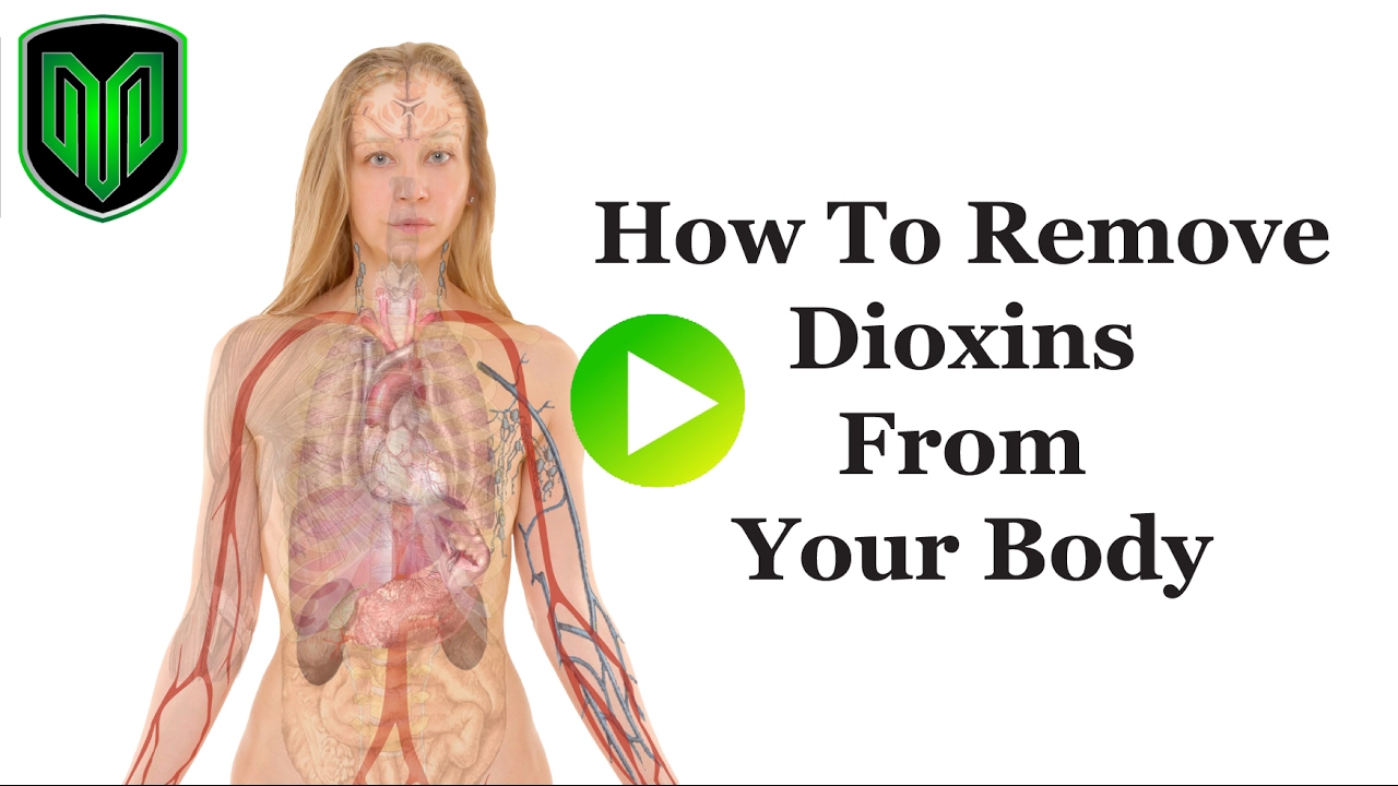How to Remove Dioxins from your body
