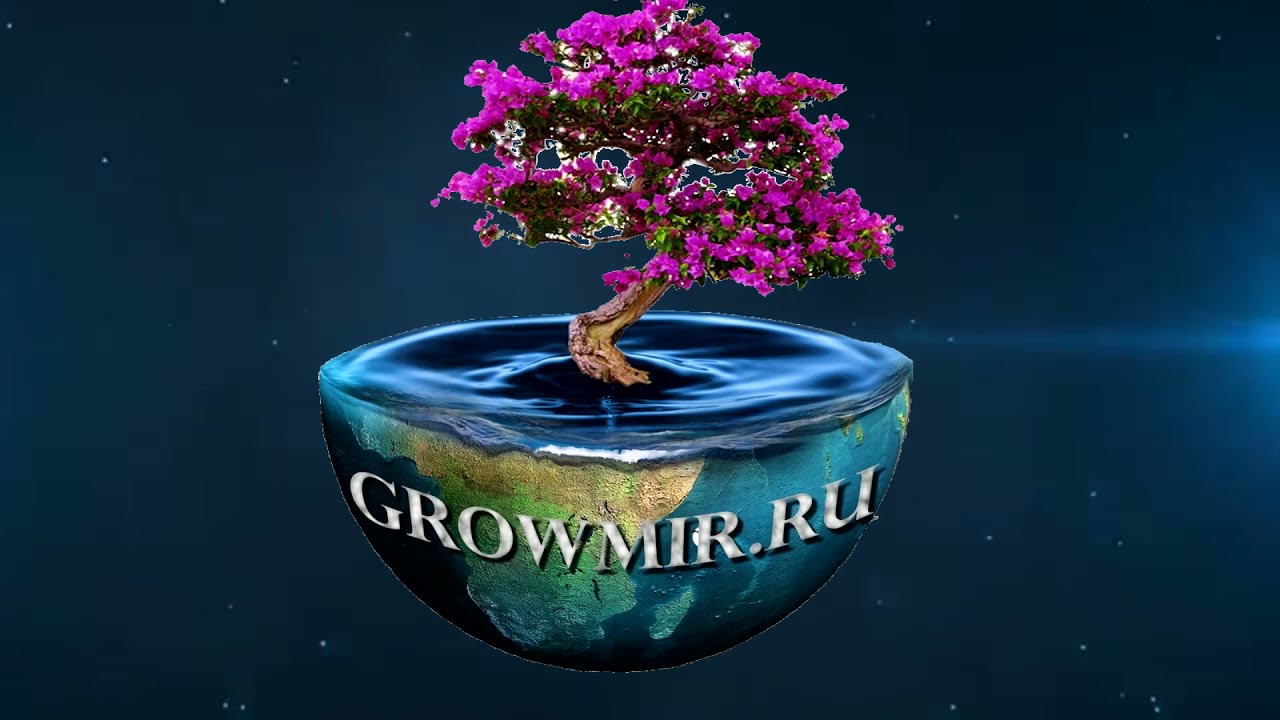 Жидкое удобрение от BioBizz - Bio-Grow