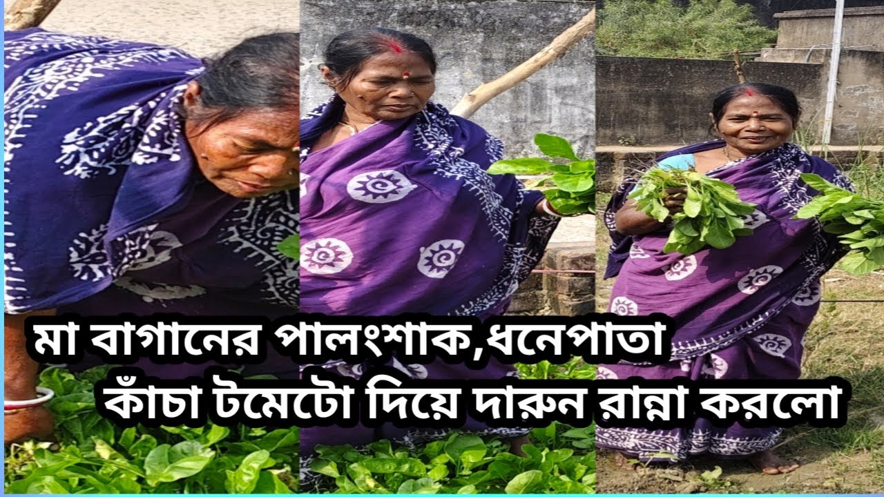 মা বাগানের পালং শাক দিয়ে মাছের ঝোল/কাঁচা টমেটো দিয়ে চুনো মাছ রান্না করলো জমজমাট খাওয়া 🥬🐟😋