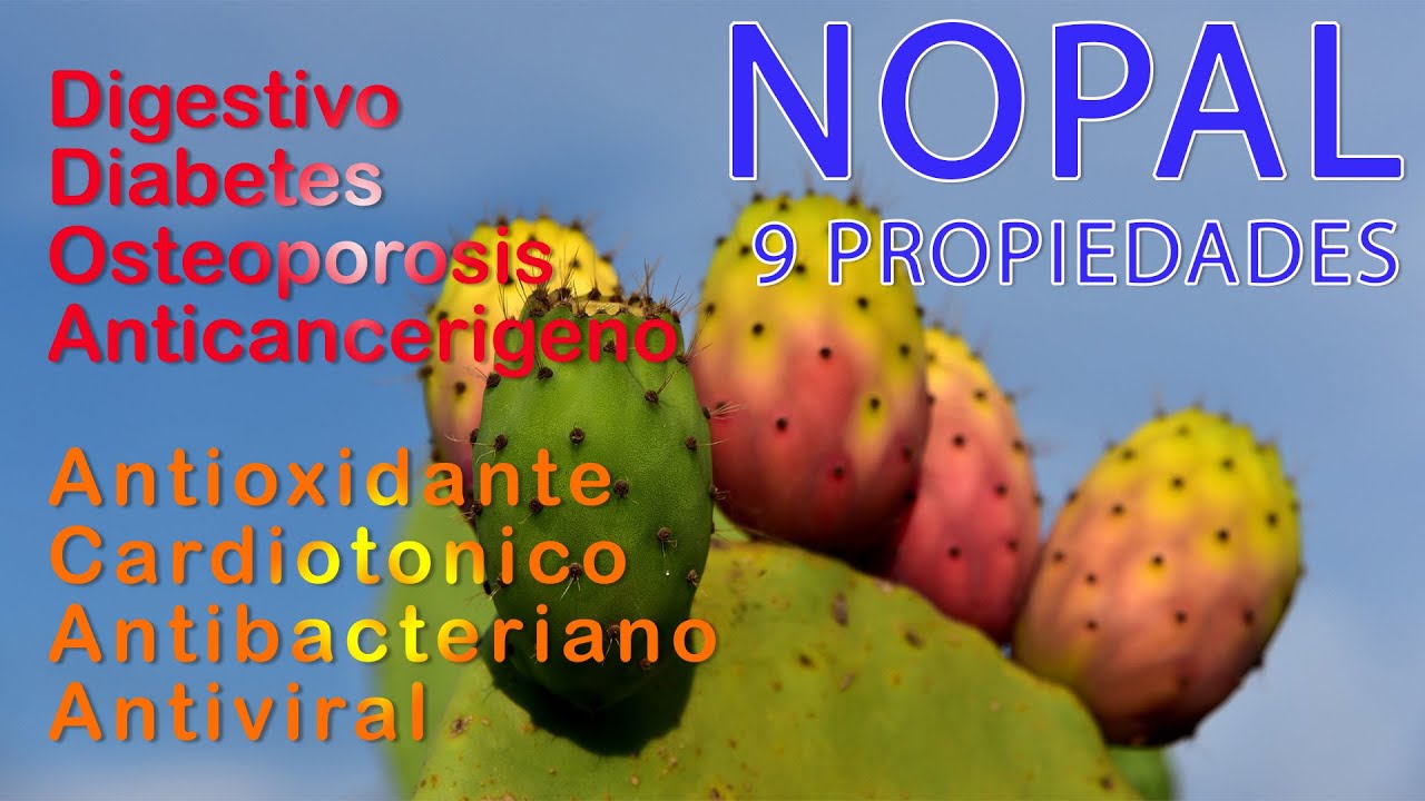 9 Propiedades del Nopal