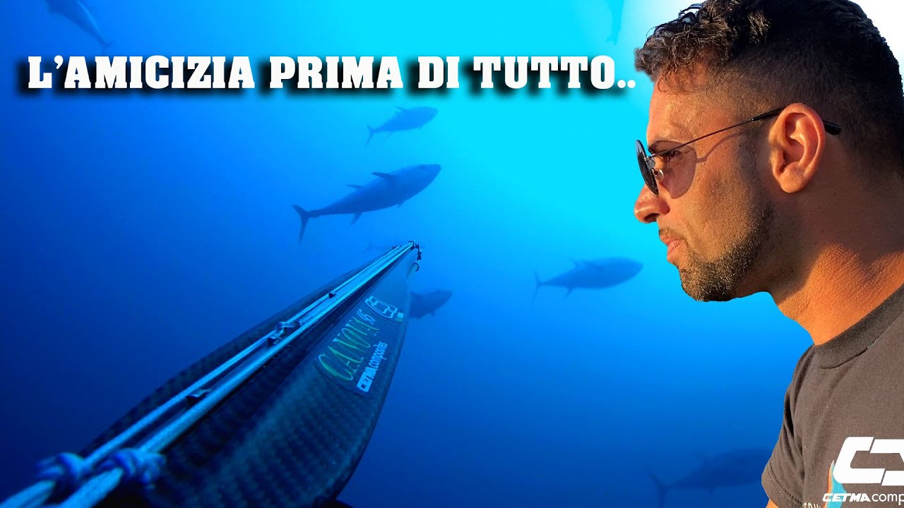 L'amicizia prima di tutto..  spearfishig subtitles [ Michele Giurgola ]