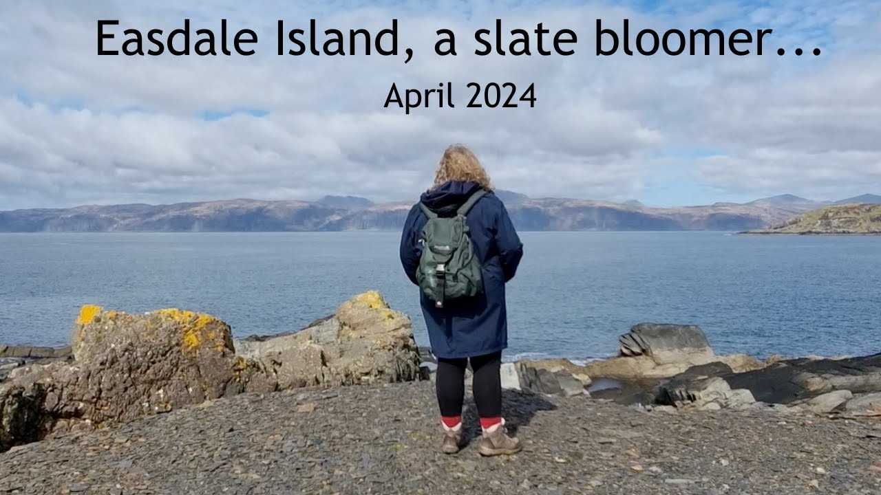 Easdale Island, a slate bloomer