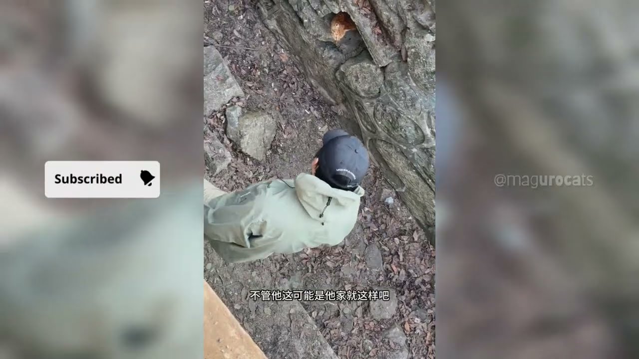 A cat rescue that ended unexpectedly. 