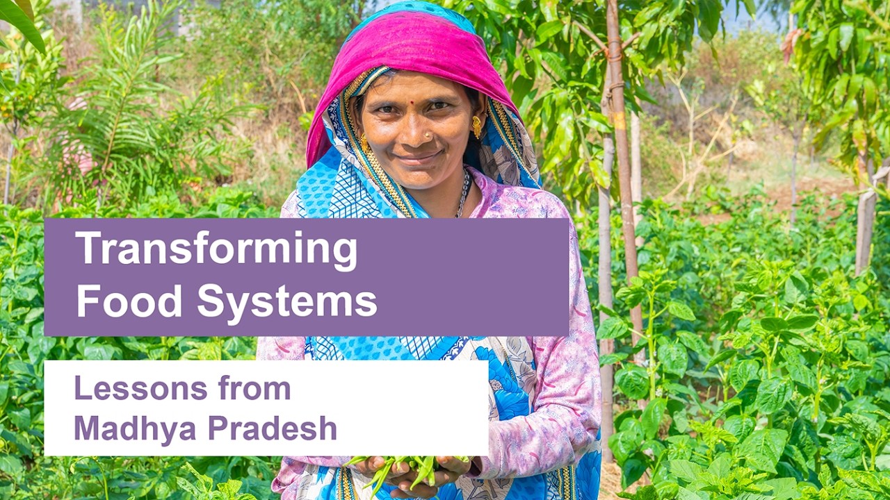 Local Innovations for Transforming Food Systems