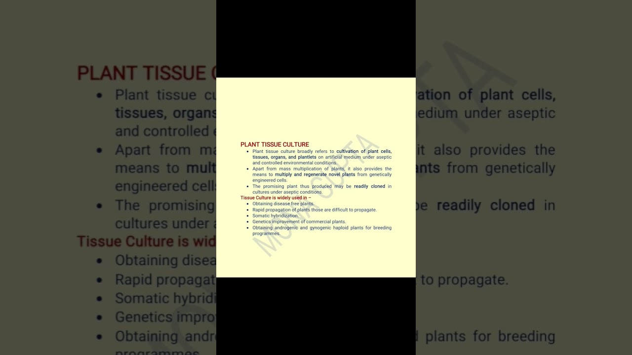 What is Plant Tissue Culture?