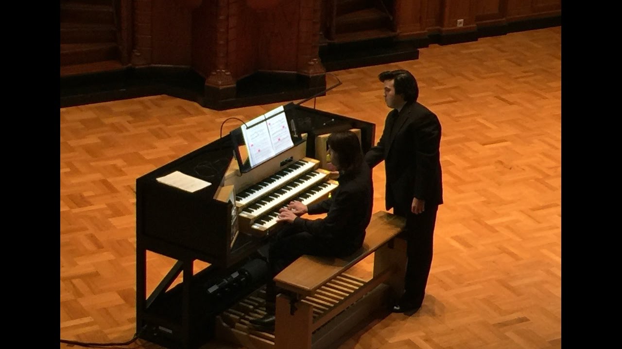 Max Reger: Prelude in D Minor, Op. 65 (Nicholas Papadimitriou, Sauer Organ, Orgelpark)