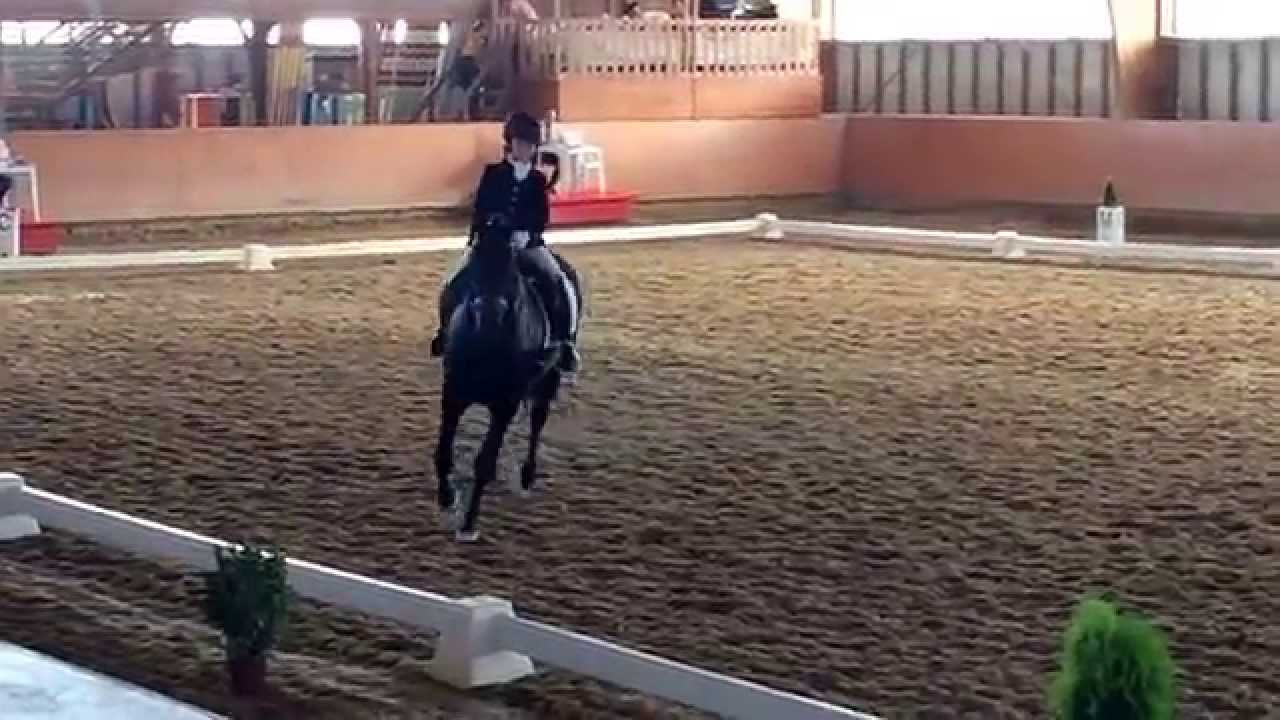 Prova Dressage P3 Quinta Beloura -1Lugar