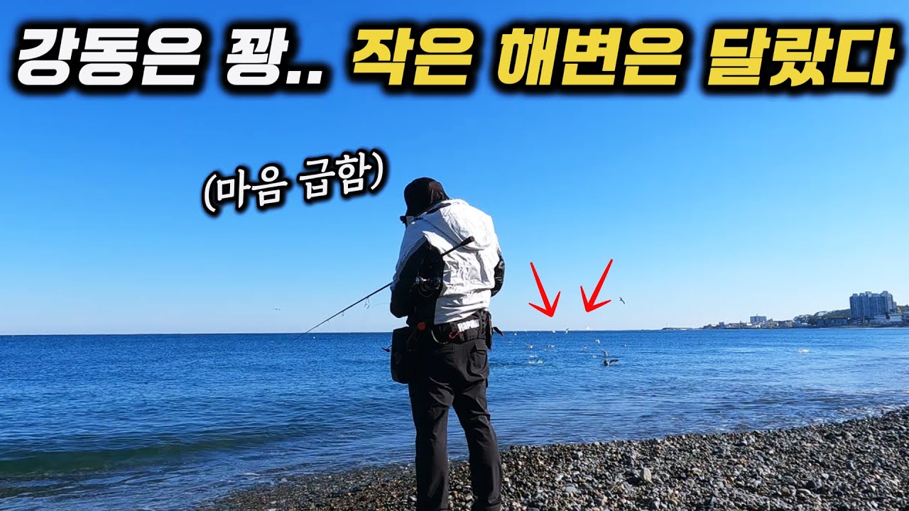 강동에서 포기하고 옮긴 작은 해변… 결과가 달랐습니다