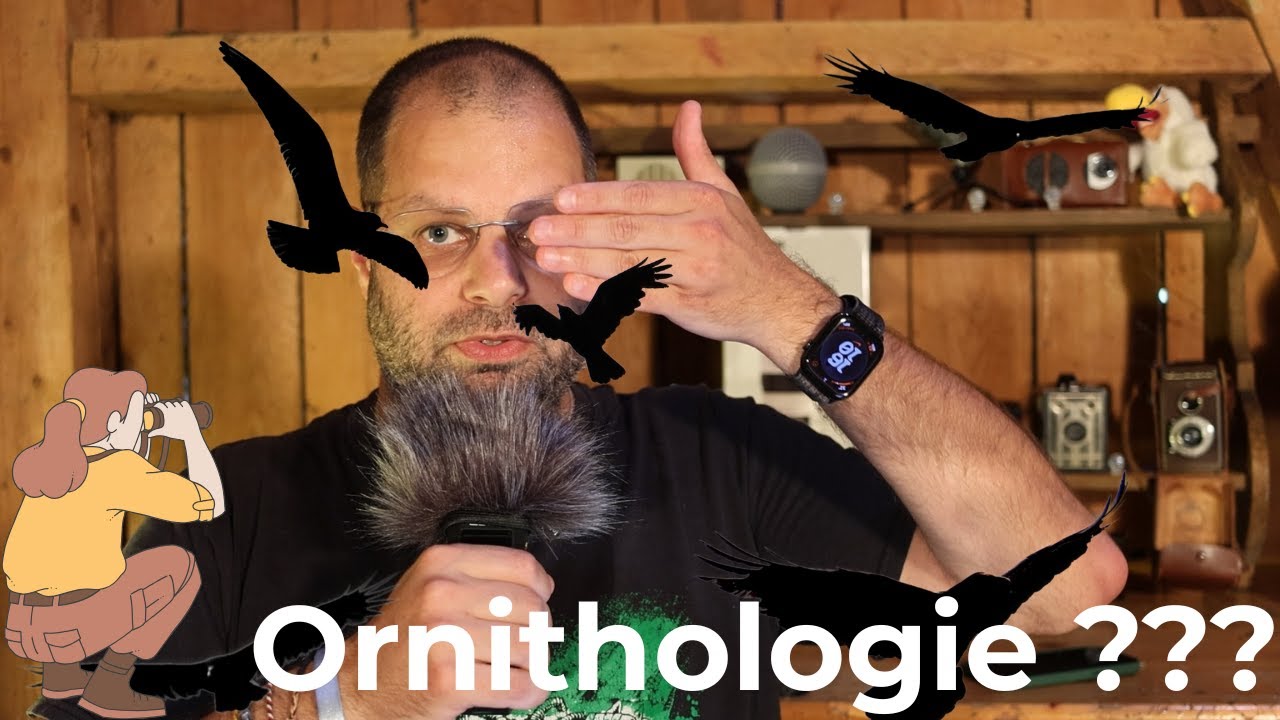 Ornithologie : c&rsquo;est quoi la science des oiseaux ? 🐦