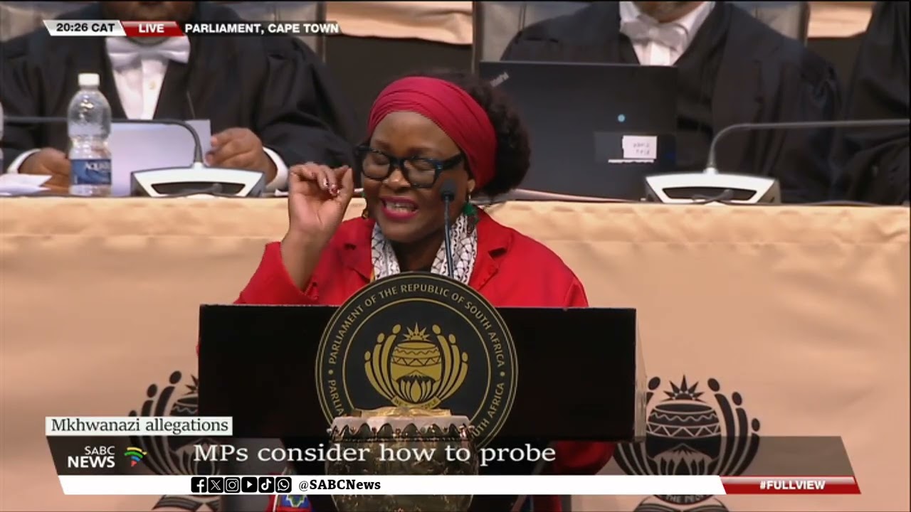 Mkhwanazi Allegations | MPs consider how to probe allegations