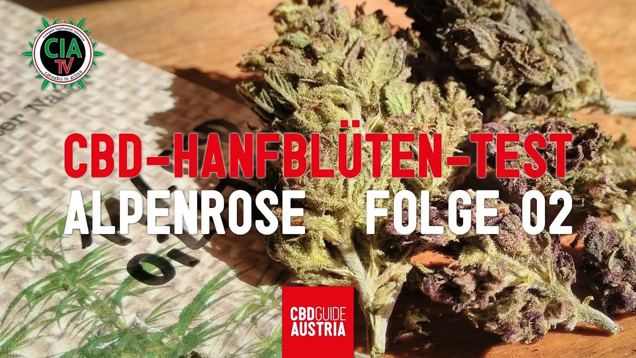 CBD-Hanfbl&uuml;ten-Test 