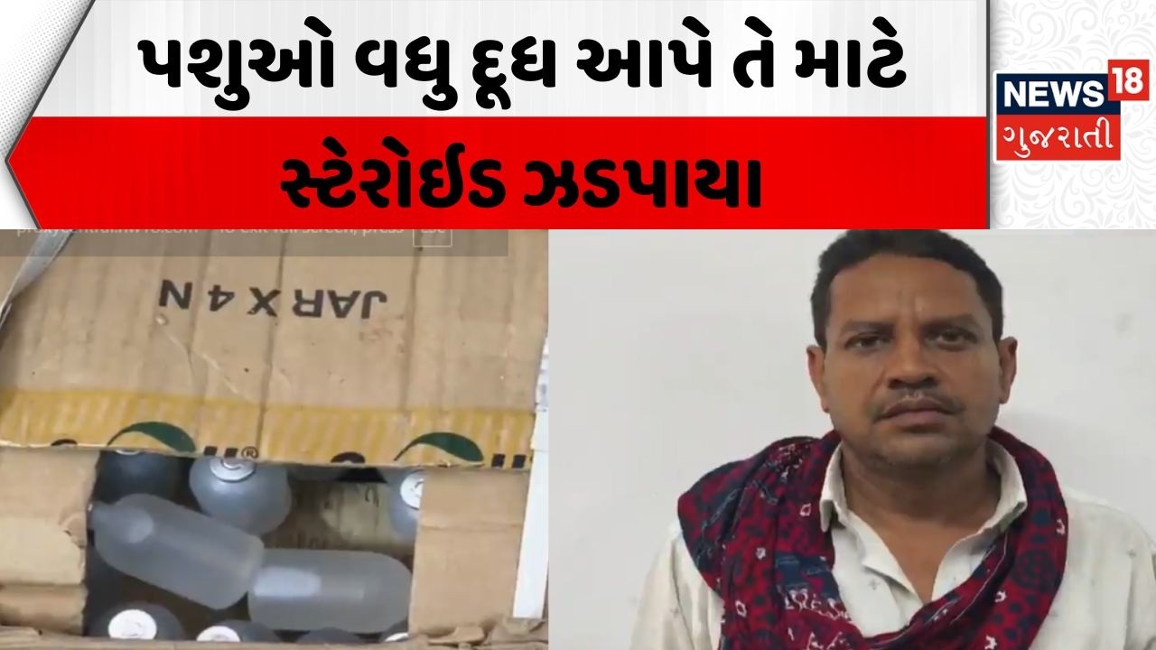 Valsad Steroid Caught News | પશુઓ વધુ દૂધ આપે તે માટે સ્ટેરોઇડ ઝડપાયા | Bihar | Fluid | News