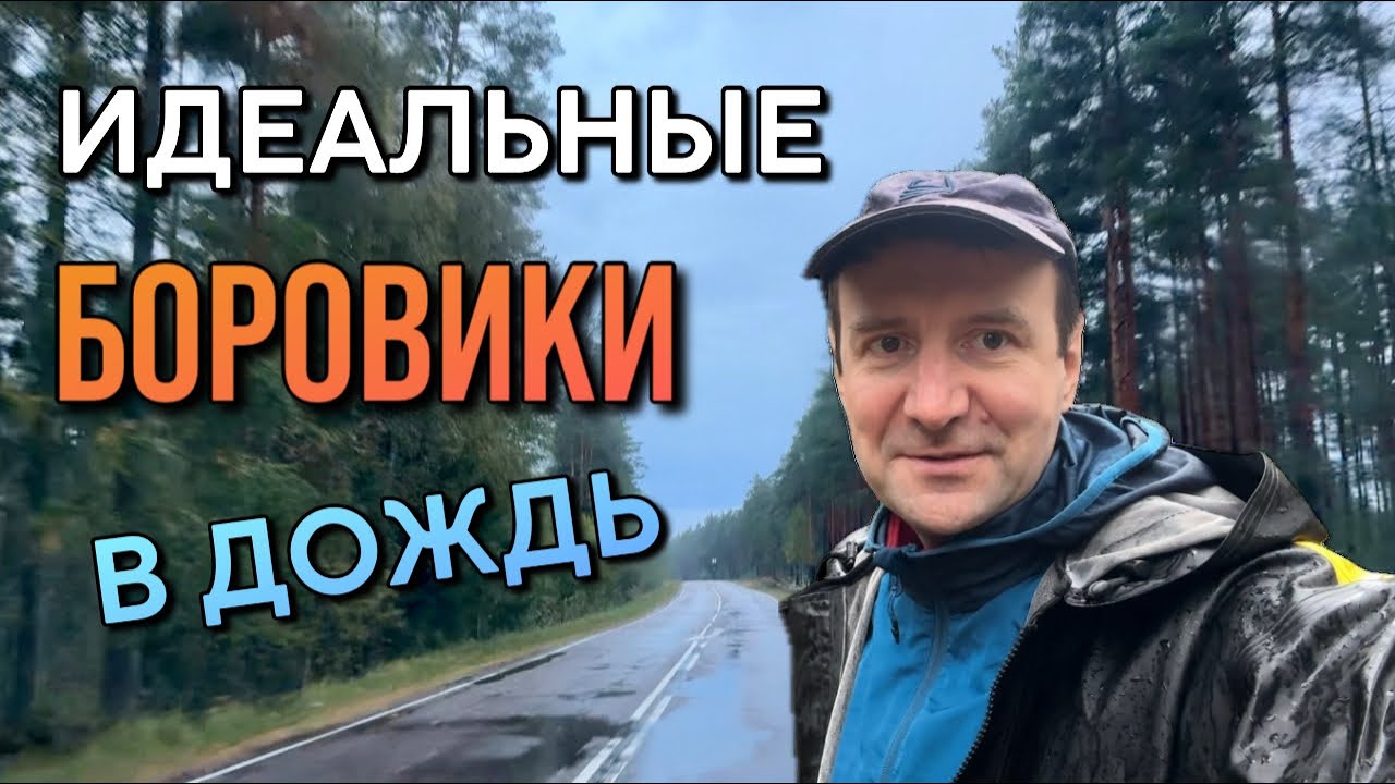 💥ТАКОЙ ТИХОЙ ОХОТЫ ВЫ ЕЩЕ НЕ ВИДЕЛИ! МНОГО БОРОВИКОВ И ПОДОСИНОВИКОВ В ДОЖДЬ! Грибы 2025