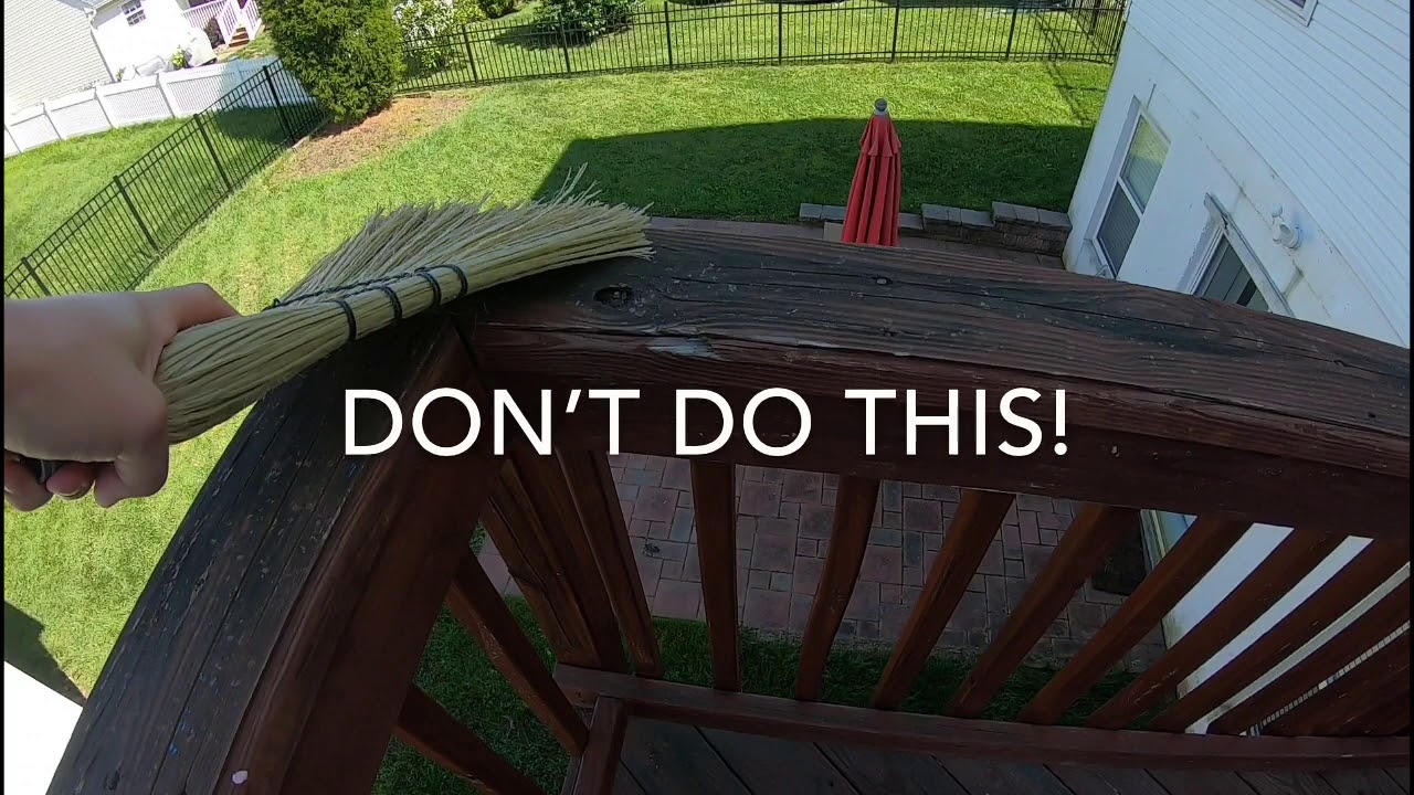 Demo: How to kill the Spotted Lanternfly
