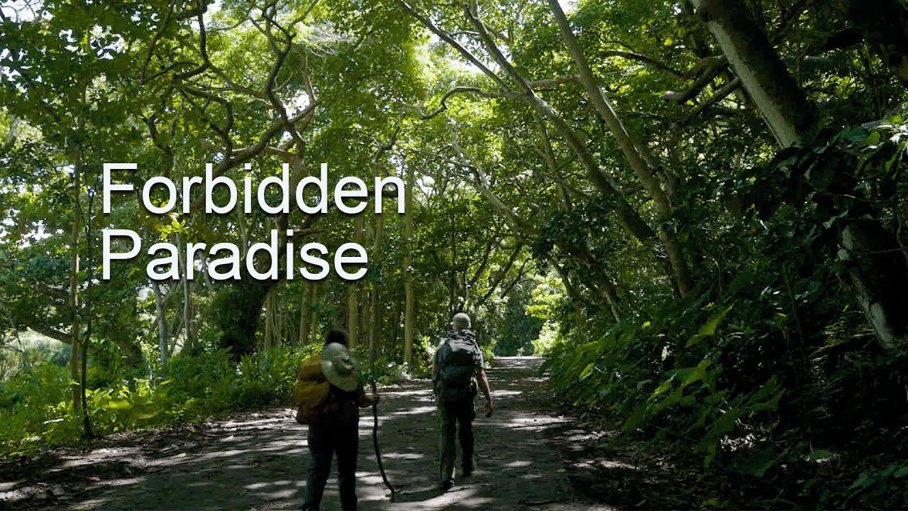 Waipi'o Valley, Hawaii