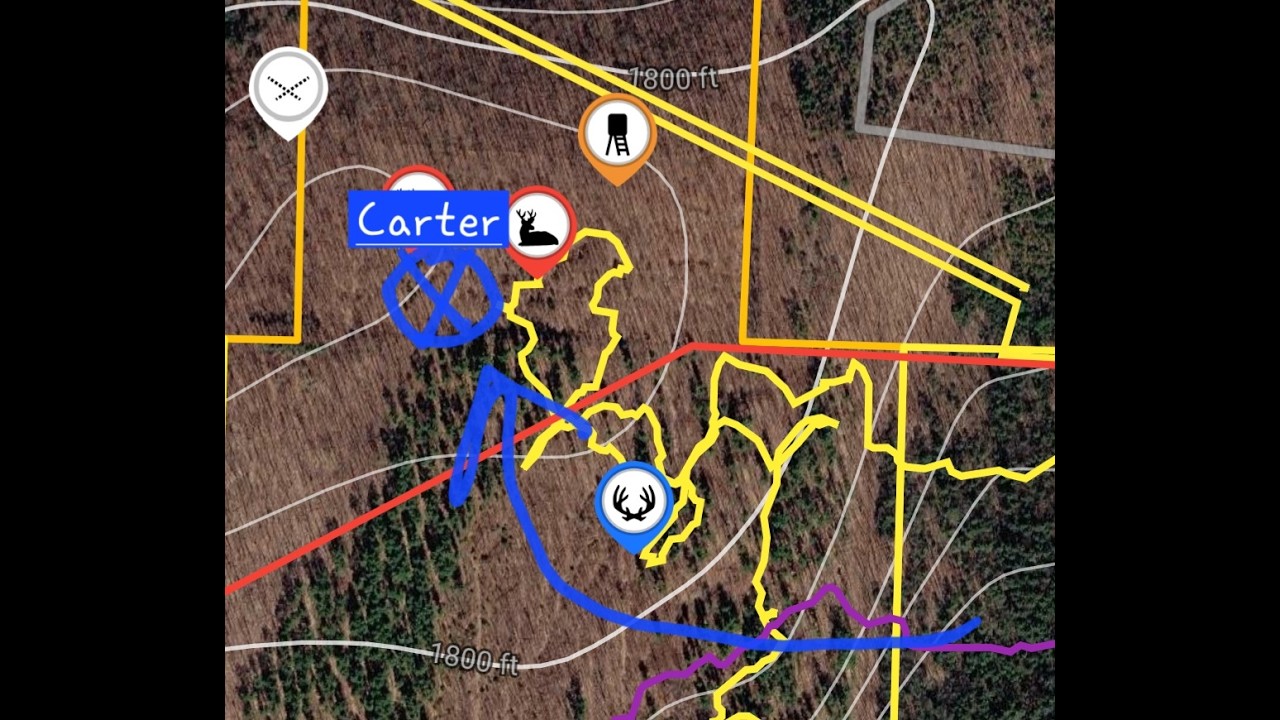 NY Public Land | Carter | November 2025