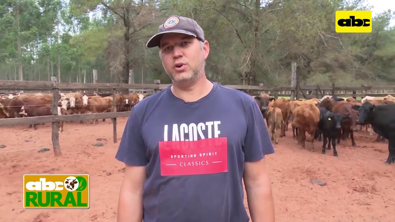 Abc Rural: Manejo de vacas y terneros en oto&ntilde;o-invierno