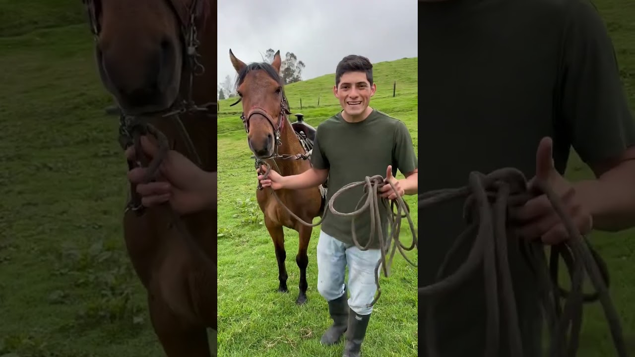 Me Compre el Caballo de Mis Sueños ! 🐎😱