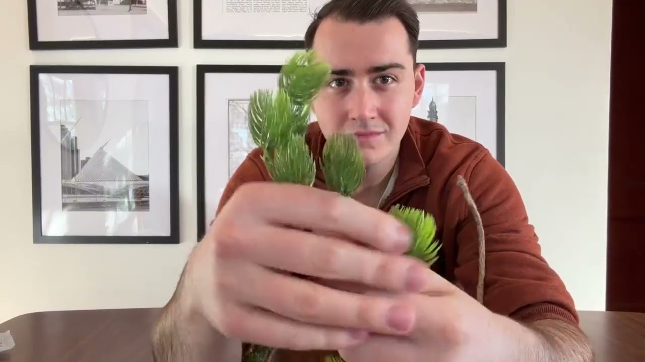 The Best Realistic Faux Greenery