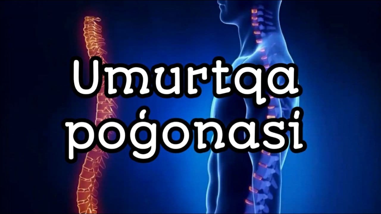 TANA SKELETI. UMURTQA POG‘ONASI.  UMURTQALARNING UMUMIY TUZILISHI. OSTEOLOGIYA.