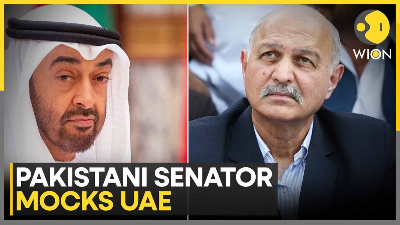 Pakistani Senator Mushahid Hussain Mocks UAE On Loan Repayments | WION World News