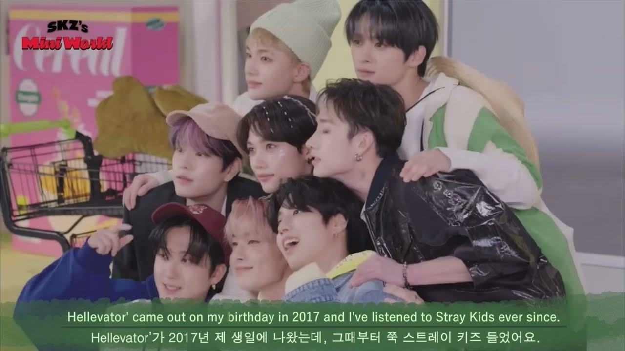 Stray Kids  dominATE ATLANTA  VCR