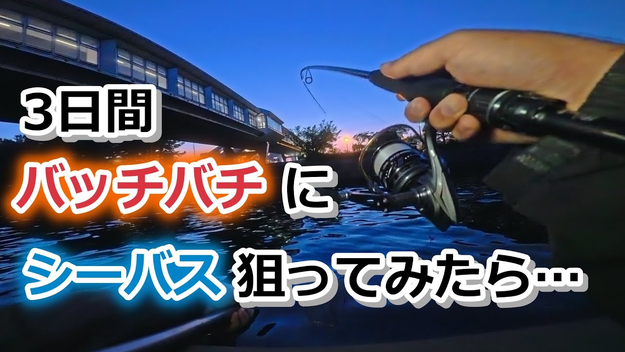 3日間バッチバチにシーバス狙ってみたら…【2025年5月12～14日】
