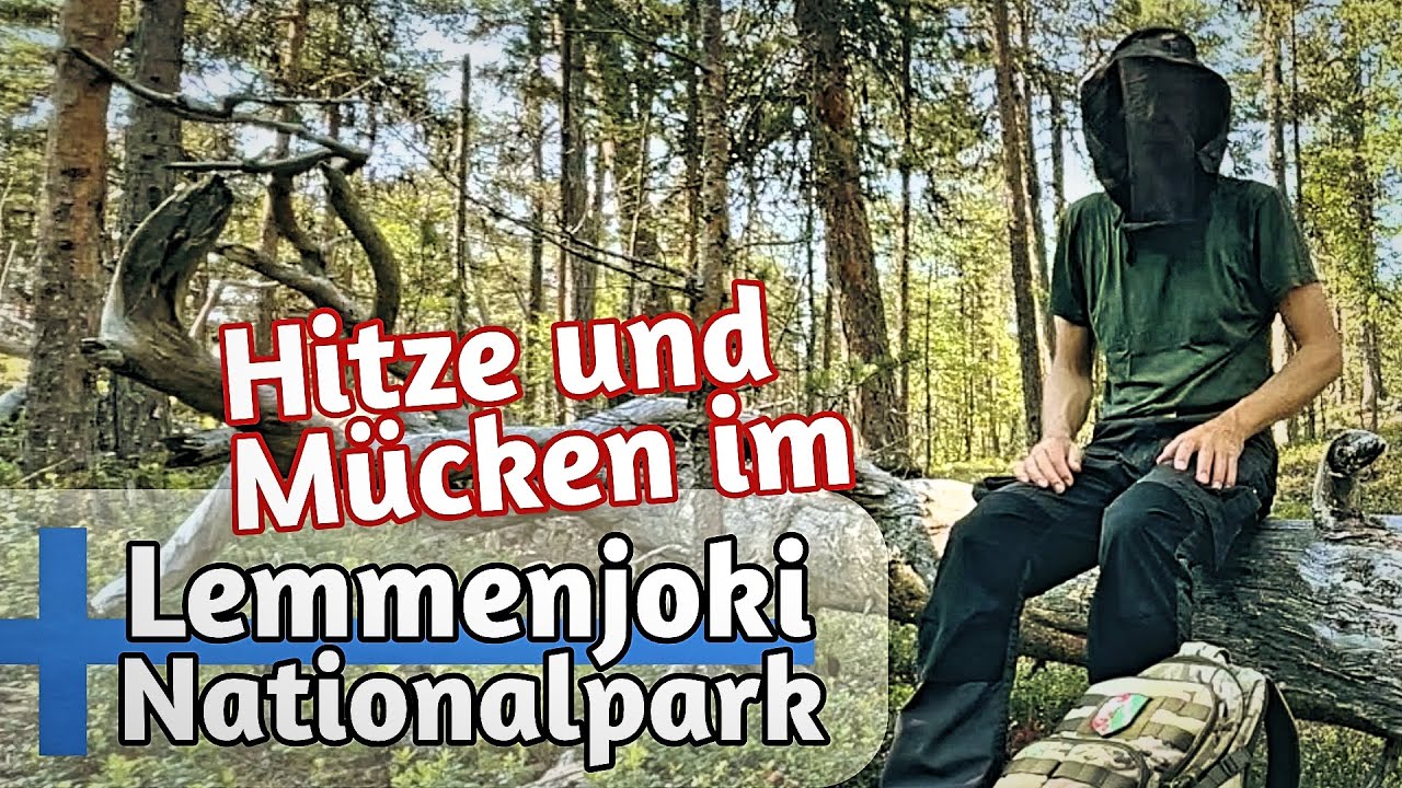 Hitze & Mücken im Nationalpark Lemmenjoki - Flucht aus Finnland