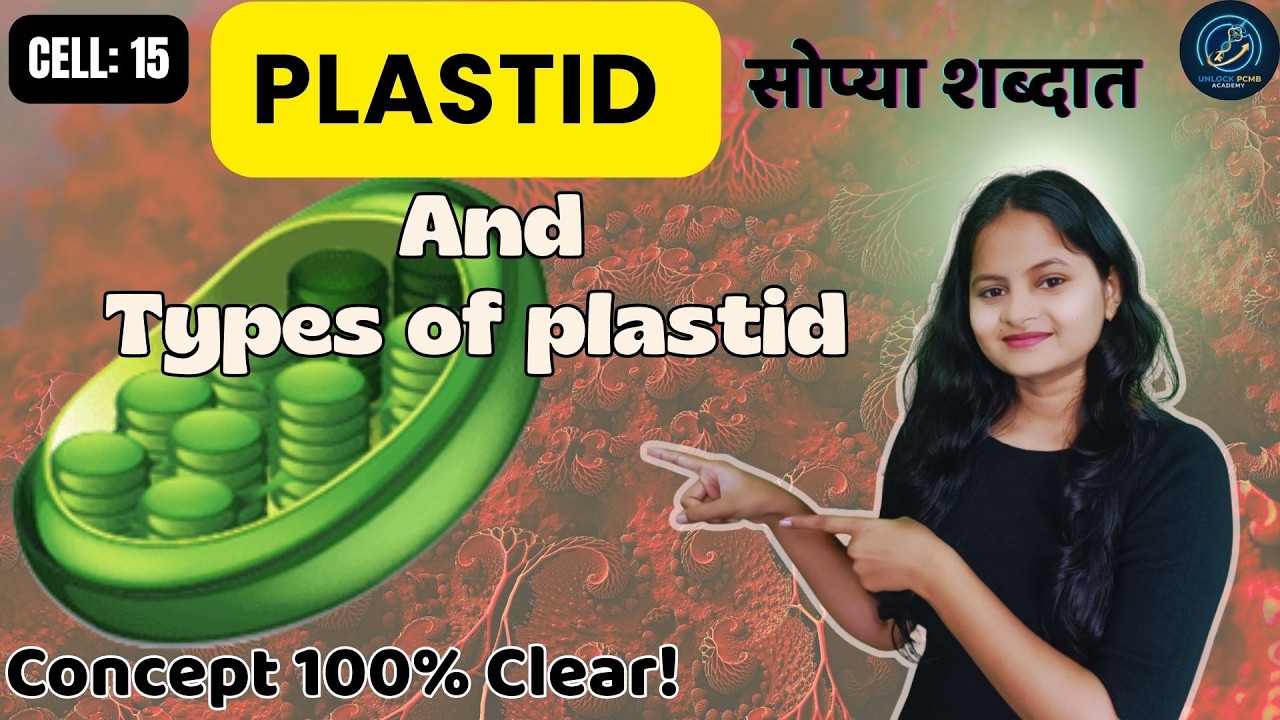 Plastid & Its Types | Chloroplast, Chromoplast, Leucoplast Simple Explanation