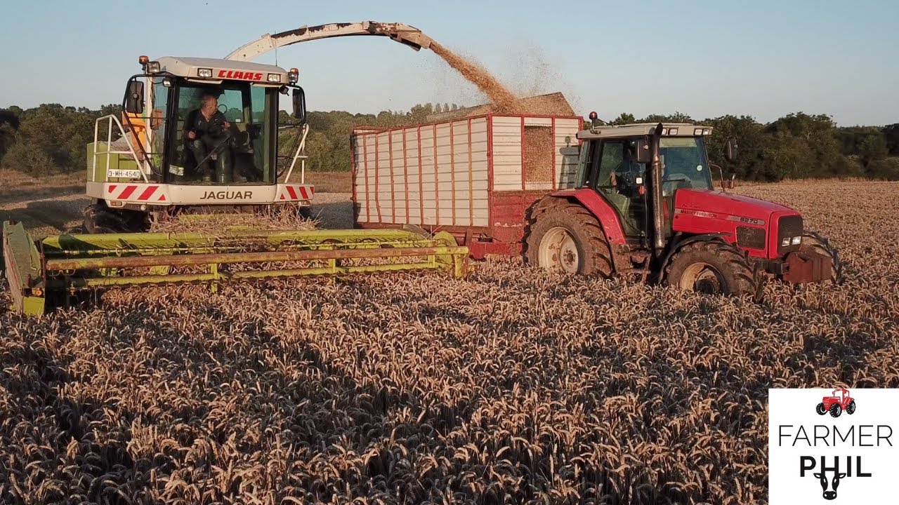 DONT GET STUCK THIS YEAR FATHER PHIL! WHOLECROP 2021