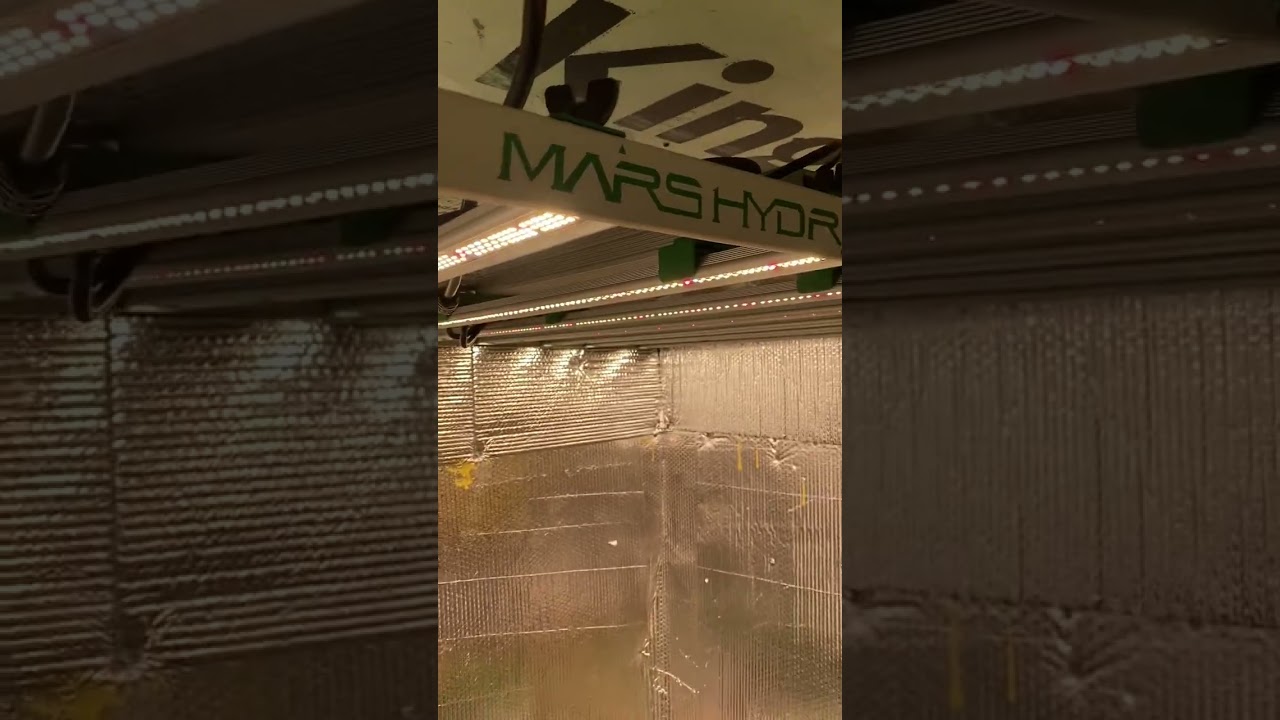 #marshydro FC-E8000