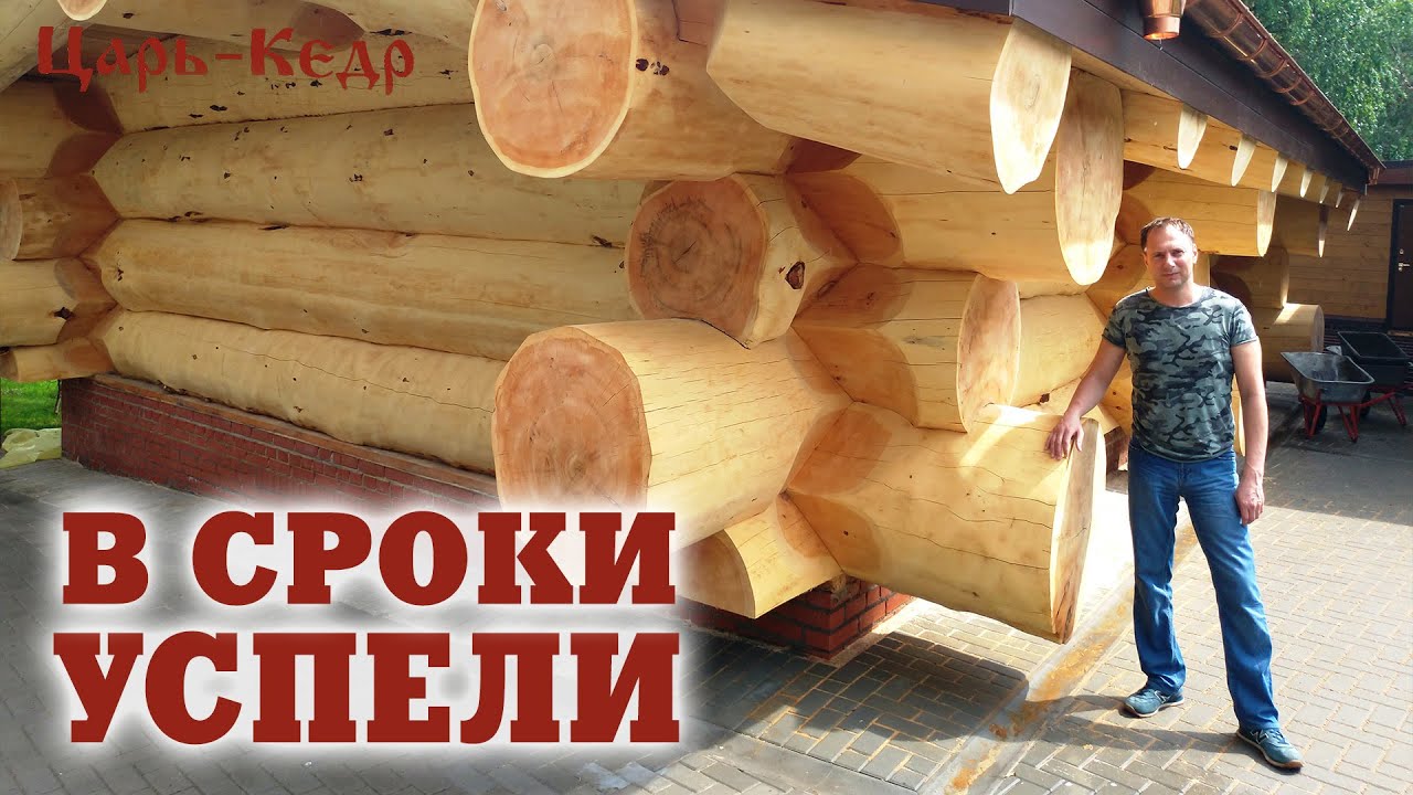 Баня из кедра большого диаметра. Огромная кедровая баня.