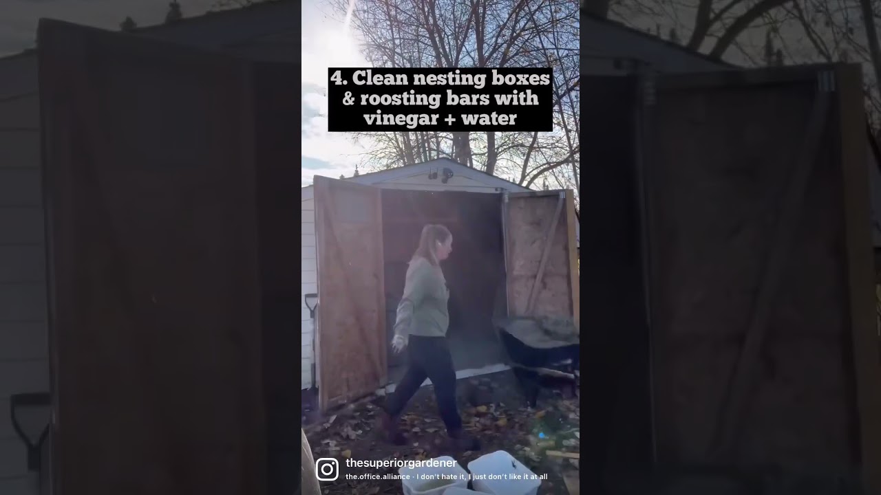 How I Winterize My Chicken Coop In My Cold Northern Climate