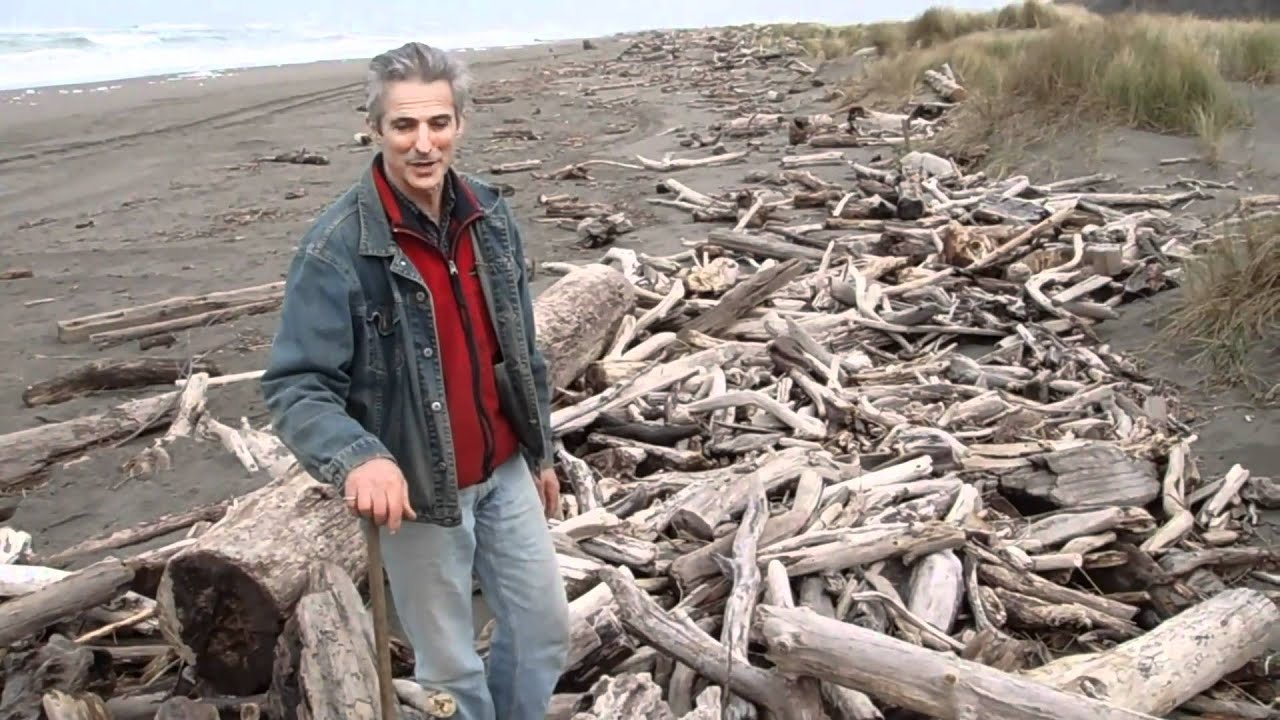 Reclaiming myrtlewood from the beach. David Groth documentary, chapter 1 of 9.