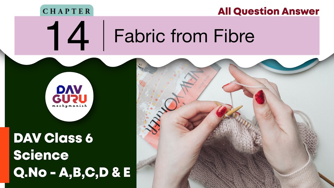 Chapter 14 | Fabric from Fibre | Class 6 DAV Science (Question Answer) A to E 🔥🔥🔥