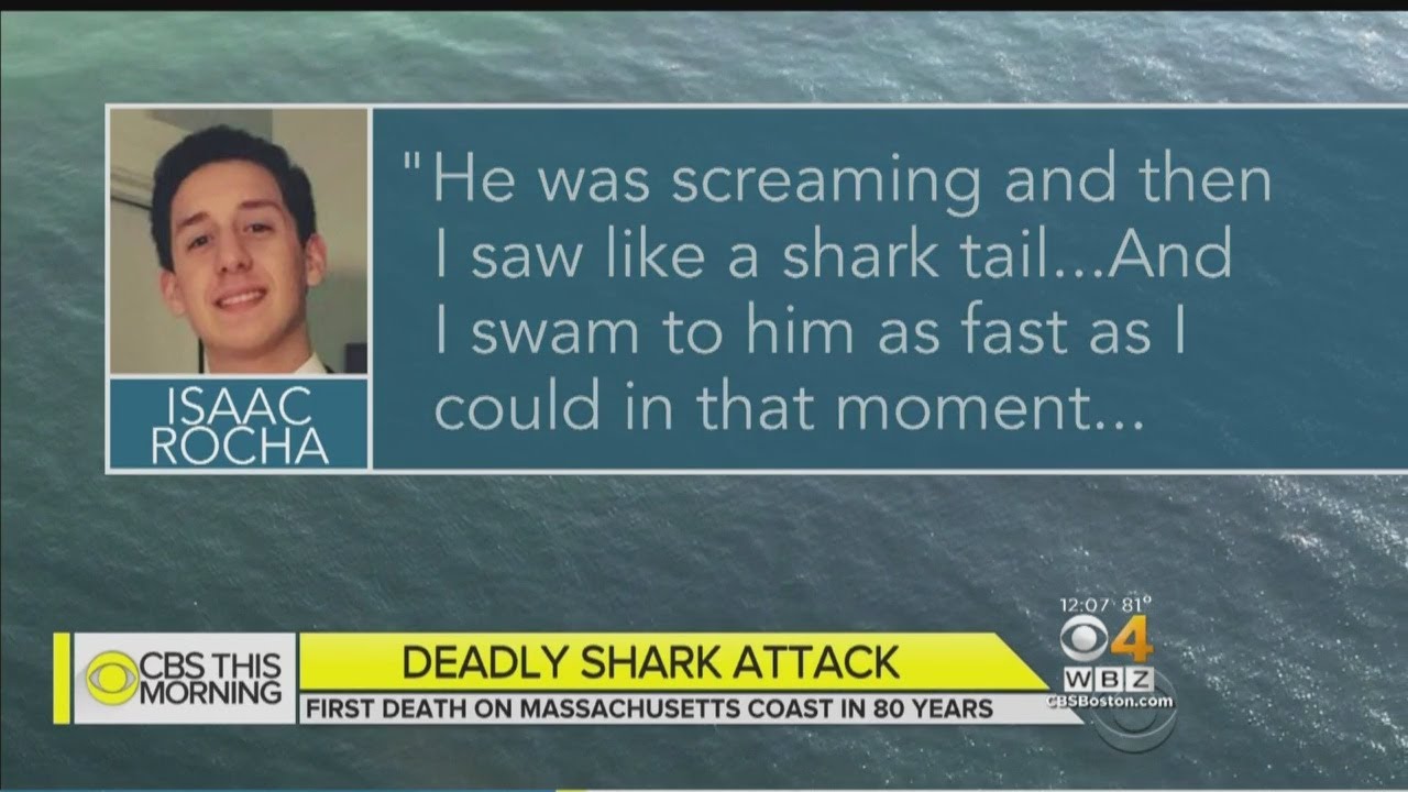 Shark Attack Victim's Friend Recounts Horror Off Wellfleet