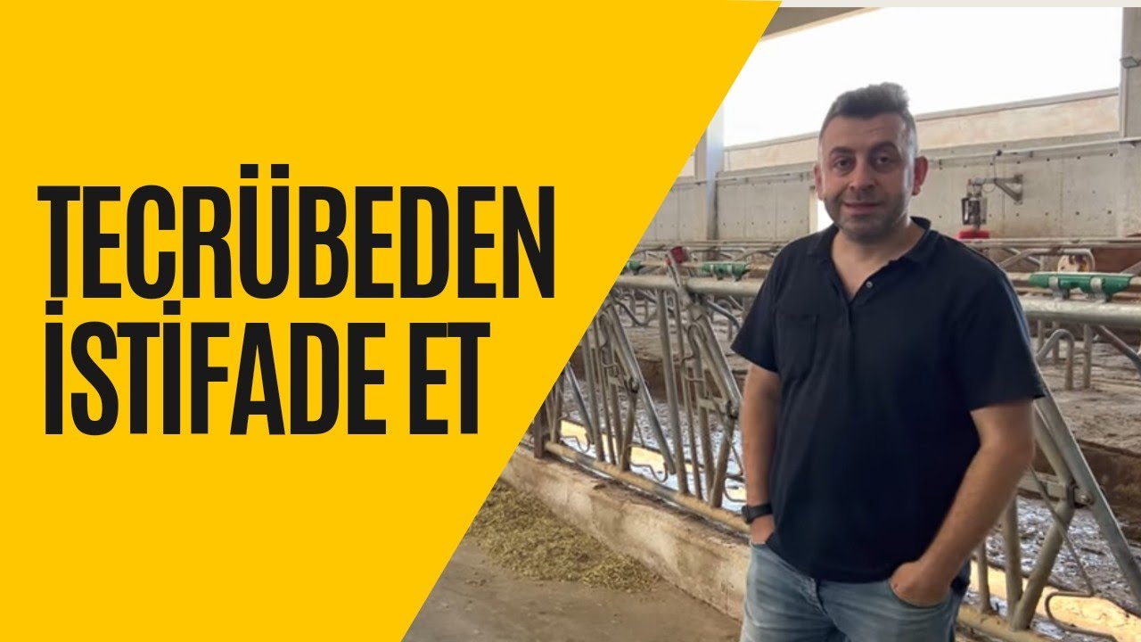 TECRÜBEDEN İSTİFADE ET