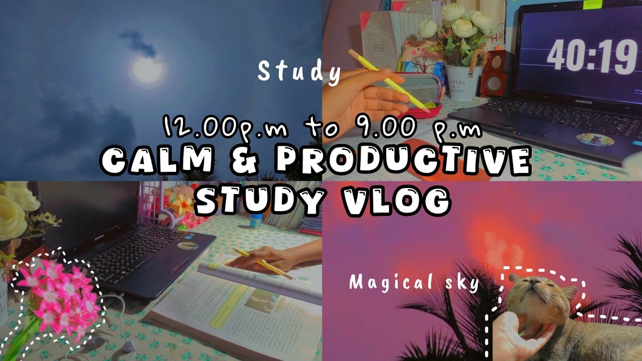 12.00 p.m to 9.00 p.m Calm & productive study vlog | සිංහල | Study 🎀🌸🌛| Learn with lohii| 🤍🌵